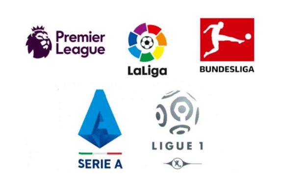 替补球员的 替补球员的